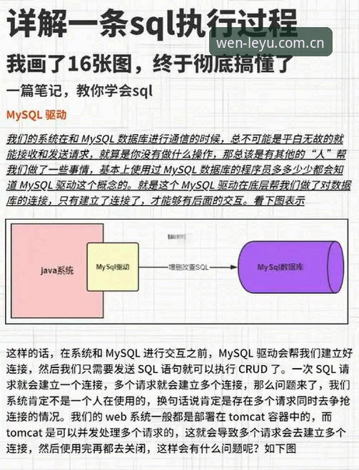 揭秘LYCN赛事数据集成教程：从44.5MB安装包到3秒启动的体验跃迁